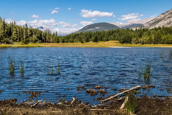 Uitzicht Vanaf Vallei Een Wandeling Provinciaal Park Bow Valley Alberta — Stockfoto