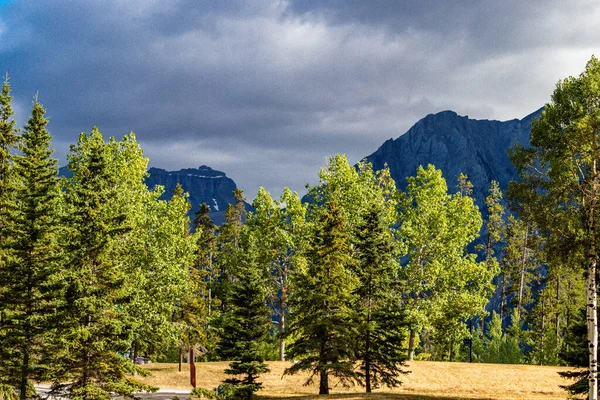 Pemandangan Dari Rockies Dari Mobil Canmore Nordic Alberta Kanada — Stok Foto