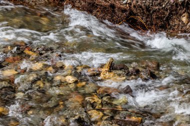 Castle River hızla Beaver Madencilik Gölü 'ne akıyor. Kunduz Madenleri Gölü PRA, Alberta, Kanada