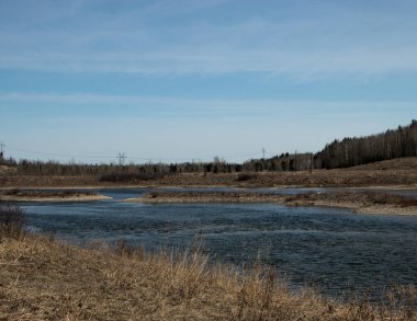 Sahil şeridi boyunca alçak kaynak suyu seviyesi. Dickson Barajı, Red Deer County, Alberta, Kanada