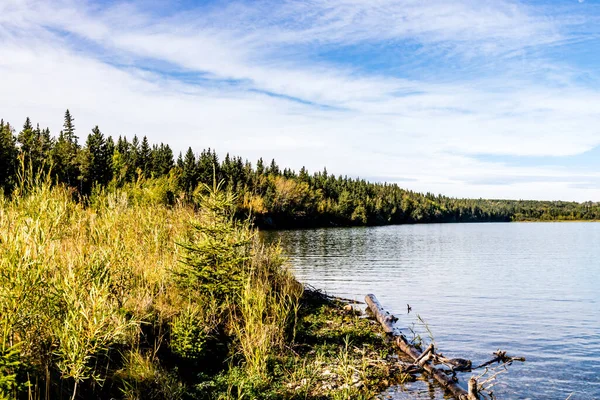 Longo Linha Costeira Lago Gleniffer Lake Provincial Recreation Area Alberta — Fotografia de Stock