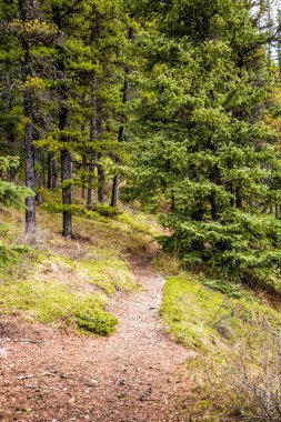 Baharın erken saatlerinde gölde döküm günlerinde. Peppers Gölü İl Rekreasyon Bölgesi, Alberta, Kanada