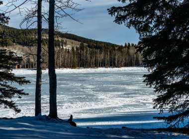 Kar ağaçların arasından gölü kapladı. Sibbald Gölü İl Rekreasyon Alanı, Alberta, Kanada