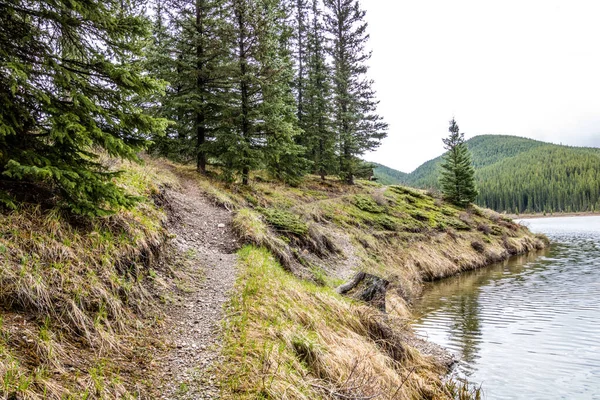 Přes Vržené Jarní Dny Jezeře Brzy Jaře Peppers Lake Provincial — Stock fotografie