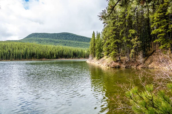 Přes Vržené Jarní Dny Jezeře Brzy Jaře Peppers Lake Provincial — Stock fotografie