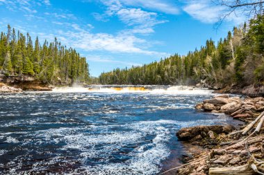 Humber Nehri parkta geziniyor. Sör Richard Squires İl Parkı, Newfoundland, Kanada