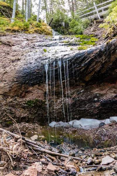 Weglopen Leidt Naar Rivier Watervallen Sir Richard Squires Provincial Park — Stockfoto