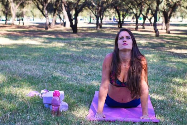 Junge Frau Macht Einem Sonnigen Tag Yoga Park — Stockfoto