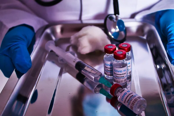 Медсестра Подносом Вакцинации Инфицированных Ковид19 — стоковое фото