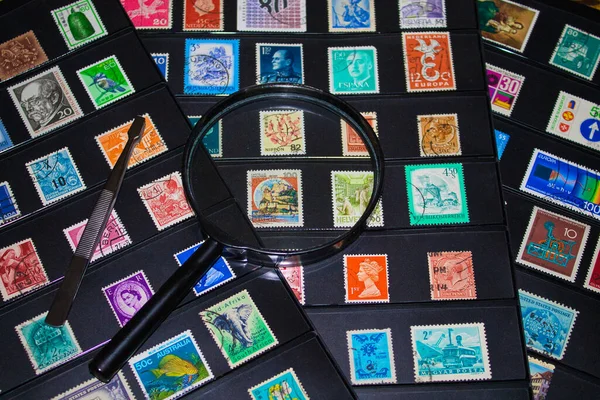 philate büyüteç ve cımbız dünya pulları koleksiyonunu görmeye hazır.