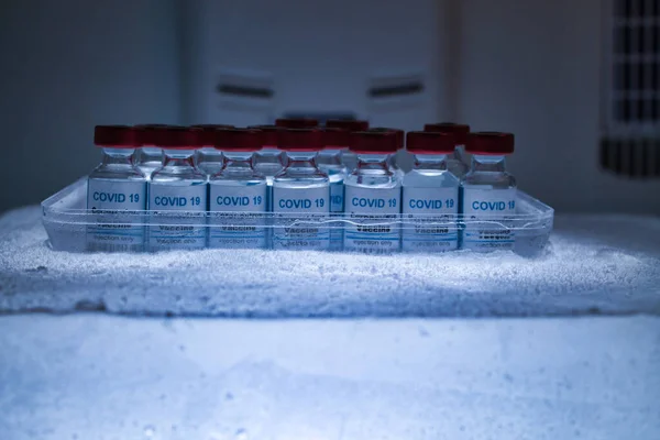 Koruma ve taşıma için sıfırın altında bir buz bloğunda 19 aşı havuzu