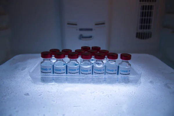 Koruma ve taşıma için sıfırın altında bir buz bloğunda 19 aşı havuzu