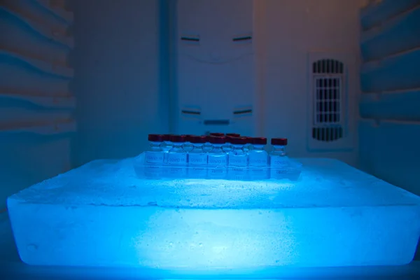 Koruma ve taşıma için sıfırın altında bir buz bloğunda 19 aşı havuzu