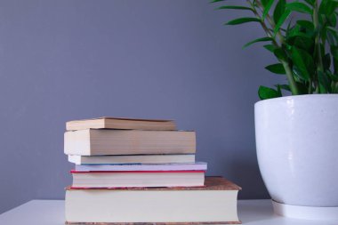 Gri arkaplan ve beyaz tencerede yeşil bitki üzerine kitap okuma grubu