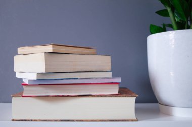 Gri arkaplan ve beyaz tencerede yeşil bitki üzerine kitap okuma grubu