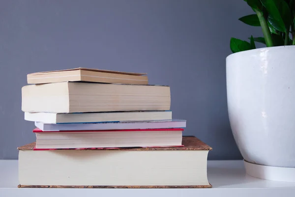 group of reading books on grey background and green plant in white pot