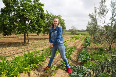 Güzel sarışın çiftçi kadın organik sebze bahçesinde taze sebze topluyor. Kot pantolon giymiş.