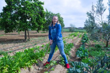 Güzel sarışın çiftçi kadın organik sebze bahçesinde taze sebze topluyor. Kot pantolon giymiş.