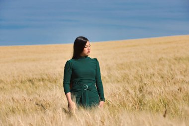 Yeşil giyinmiş, güzel, koyu renk saçlı Latin bir kız yaz günü kuru, sarı bir buğday tarlasının arasında duruyor. Arka planda, mavi gökyüzü
