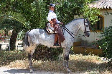 Binicilik kıyafeti giymiş, geleneksel İspanyol şapkası takan, güneşli bir günde kırsalda ata binen genç ve çekici bir İspanyol kadın. Arka planda, yeşil bitki örtüsü
