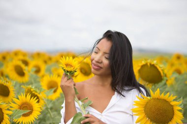 Beyaz gömlekli güzel bir melez Latin kadın onu yüzüne yaklaştırıyor ve bir ayçiçeğiyle flört ediyor. Kadın ayçiçeklerinin arasında mutlu ve güneşli yaz gününde gülümsüyor.