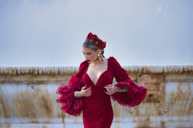 İspanya, Seville 'de bir meydanda flamenko dansı yapan güzel bir kadın. Fırfırlı kırmızı bir elbise giyiyor ve büyük bir sanatla flamenko dansı yapıyor. Flamenko, insanlığın kültürel mirası.