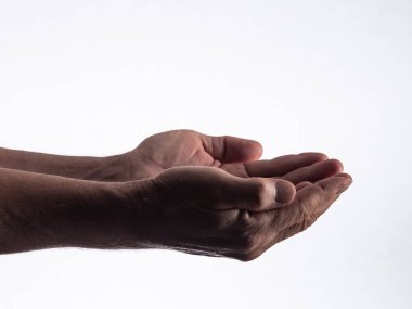 Eller katlı, avuçlar yukarı, beyaz arka planda bir kase oluşturuyorlar..