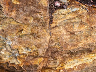 Close-up of layered sedimentary rock with cracks, textures, and earthy mineral tones.