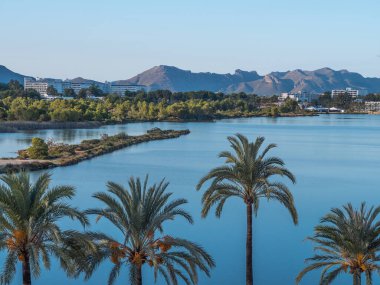 Dört palmiye ağacı, sakin mavi bir göl, ormanlık bir sahil ve uzak dağlar ve tatil köyleri olan liman manzarası..