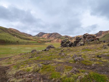 Yosunlu lav kayaları ve yeşil çayır tabanı İzlanda 'daki uzak, renkli rhyolite dağlarına çıkar..