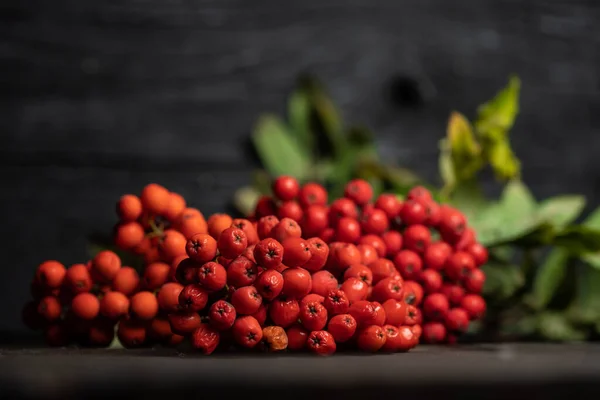 Festive Autumn Decor Berries Black Wooden Background — Stock Photo, Image