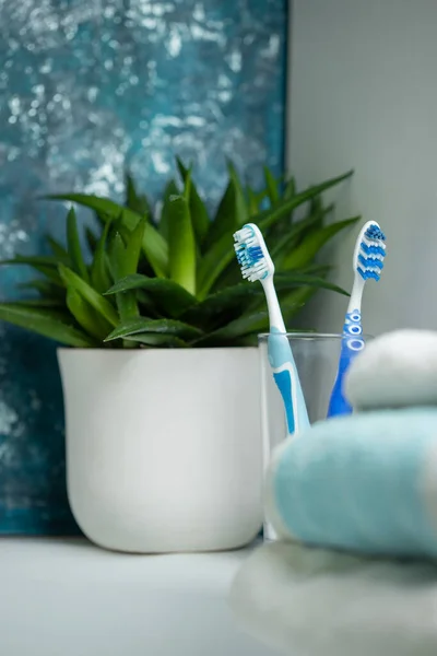 Duas Escovas Dentes Copo Cercado Com Toalhas Plantas Banheiro Conceito — Fotografia de Stock