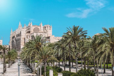 Meşgul bir şehirde eski göz yakan binalar. Bitkilerle çevrili eşsiz binalar..