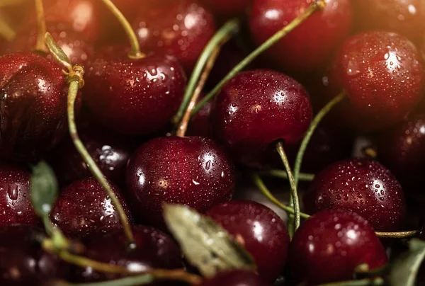 Juicy Cherry Wooden Background Red Freshly Picked Cherry — Stock Photo, Image