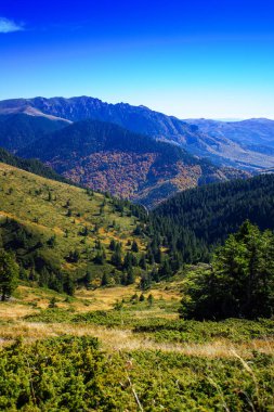 Ormanlarla çevrili dağlarda nefes kesici bir manzara..