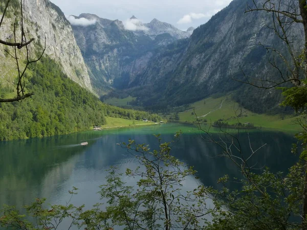 Forêt Mousse Dans Parc National Près Koenigssee Bavière — Photo