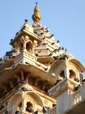 Jaswant Thada 'nın çatısında güvercinler oturuyor.