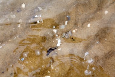 Sahilde sudan kuma küçük dalgalanmalar