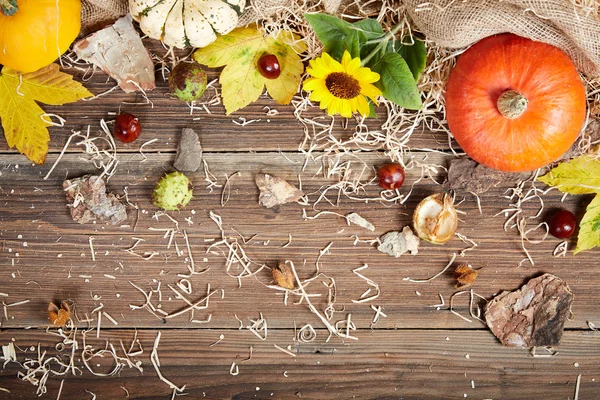 Herfst Stilleven met pompoen en zonnebloem — Stockfoto