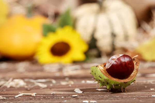 Macro of a chestnut on a wooden table — Stock Photo, Image