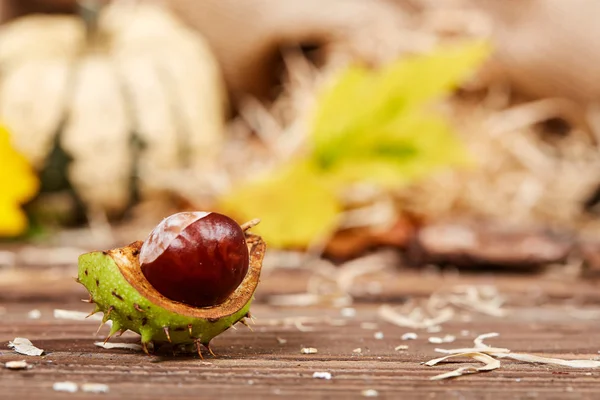 Castagno con zucche su un tavolo di legno — Foto Stock