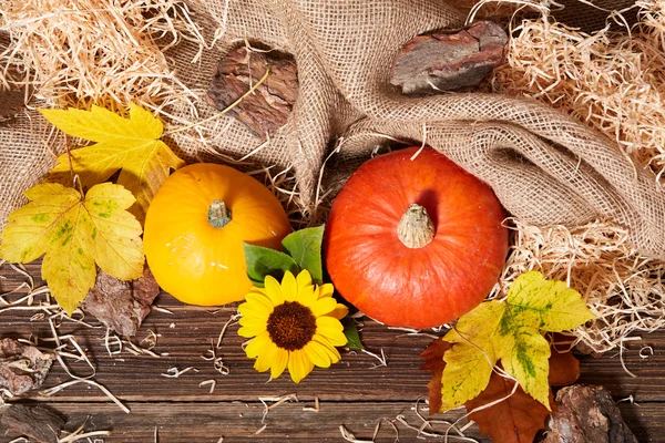 Thanksgiving rustieke tafel voor herfst achtergrond — Stockfoto