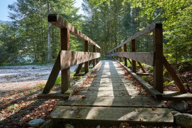 Salzkammergut Gölü Offensee Köprüsü