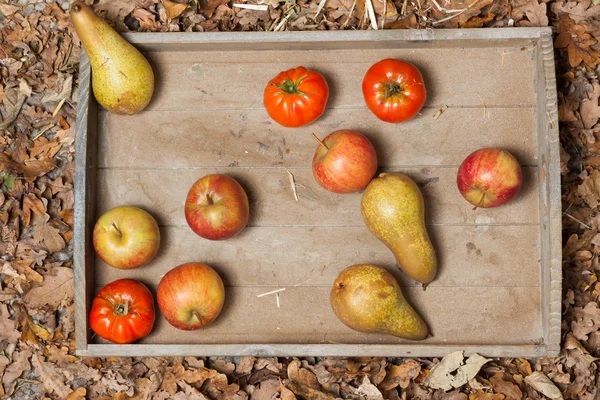 Autumn fruits