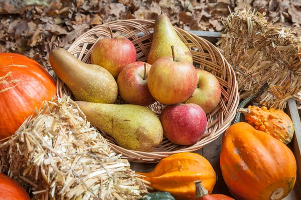 Herfst vruchten — Stockfoto