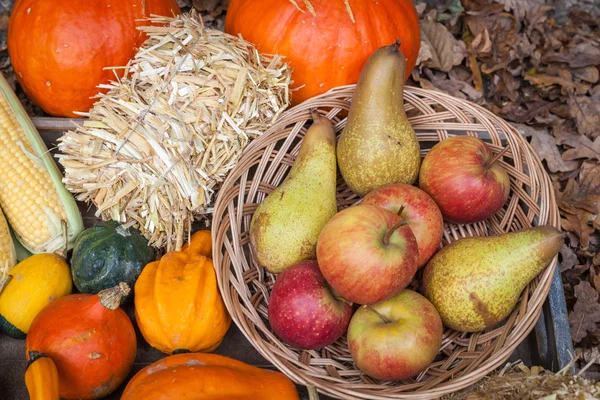 Herfst vruchten — Stockfoto