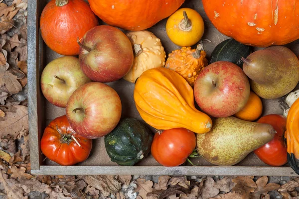 Autumn fruits