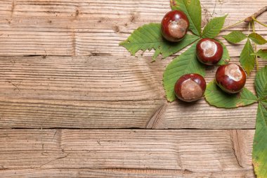 Chestnuts on a table clipart