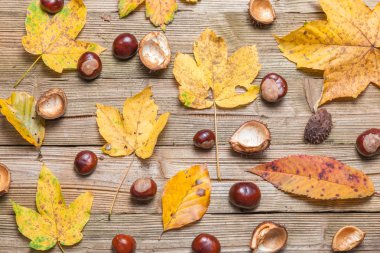 bir tablo üzerinde kestane