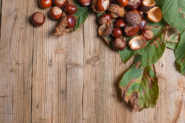 Castanhas em uma mesa — Fotografia de Stock